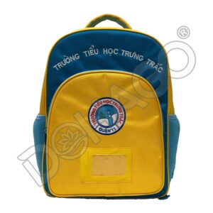 Balo trường tiểu học Trưng Trắc - HS12